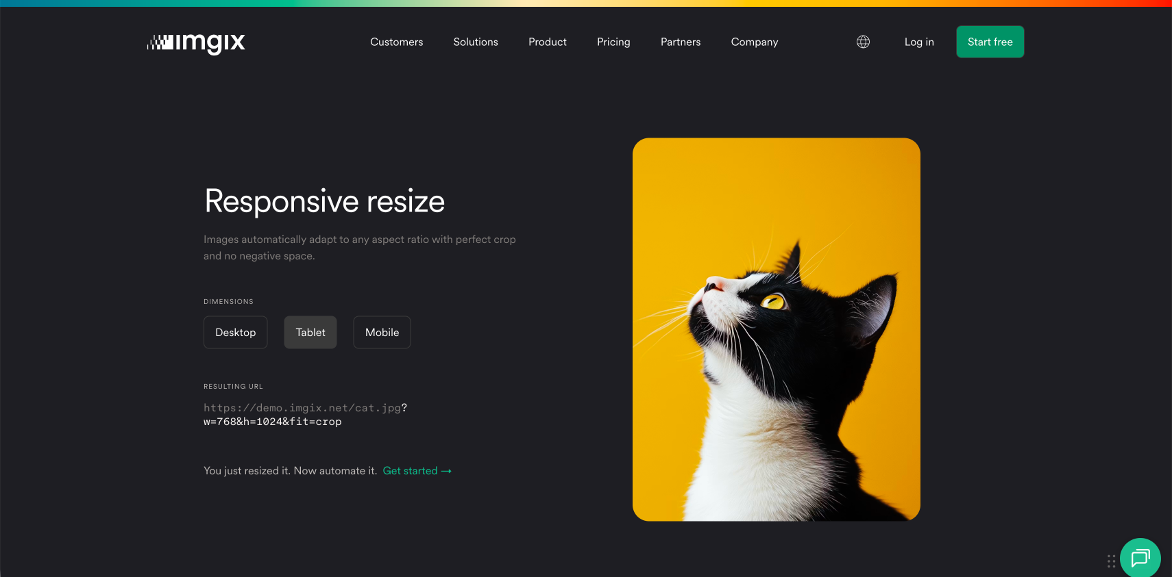 Responsive resize demo